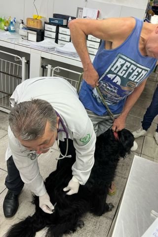 ChiquinhoVet_Vacinação