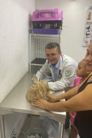 ChiquinhoVet_Vacinação
