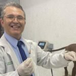 Vacina de Cachorro: Guia Completo com Calendário e Dicas Essenciais