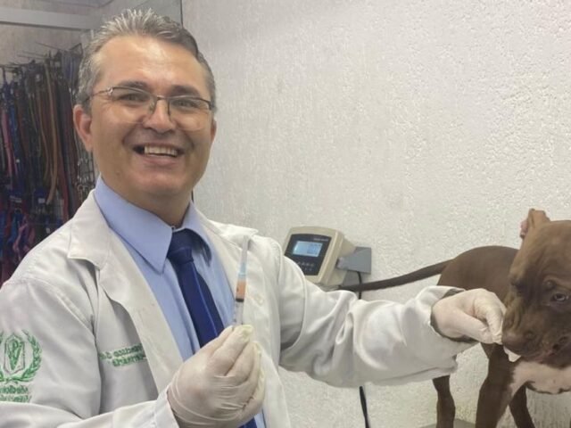 Vacina de Cachorro: Guia Completo com Calendário e Dicas Essenciais