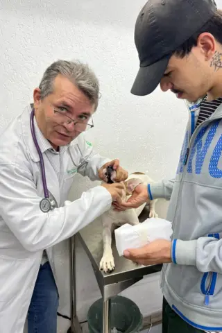 Vermífugo para Cães ChiquinhoVet (3)