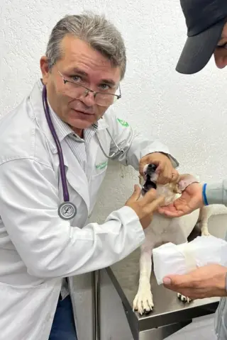 Vermífugo para Cães ChiquinhoVet